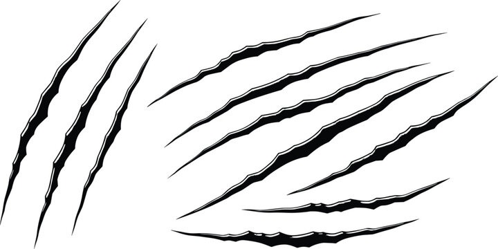 Animal claw scratch marks, wild predator attack slashes, realistic torn skin effect, dangerous beast damage design, sharp ripped cut illustration vector art