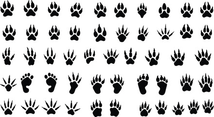 Animal paw prints, wildlife footprint silhouettes, black vector animal tracks, bear wolf dog cat bird footprints, nature icons, design elements set © Ideasy Mind