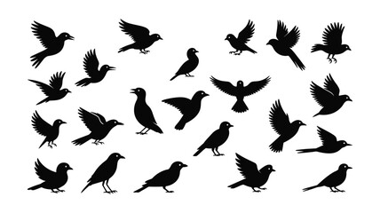 Assortment of Black Bird Silhouettes in Flight and Perched Poses animal wildlife