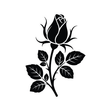 Black silhouette of a rosebud with leaves and stem on a white background flower unopened