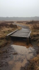 Misty Moorland Boardwalk