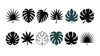 Collection of Tropical Leaf Silhouettes and Outlines in Black and Teal foliage plant