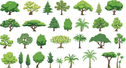 Isolated nature elements: A detailed pack of various trees including tropical palms and deciduous species, each rendered with a clean art style suitable for digital art, games, and presentations.