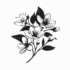 Obraz premium Minimal Line Art of Jasmine Flower Design for Botanical Vector Illustration