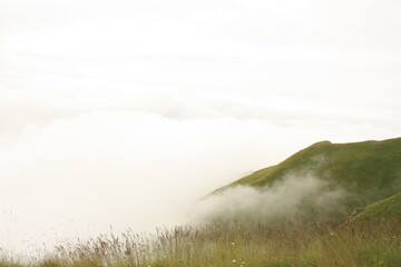 landscape with fog