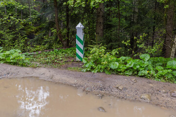 Wooden forest quarter post on dirt road side with puddle