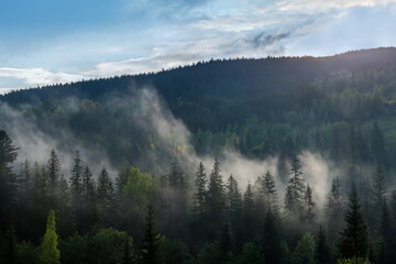 Mountain forested slope with rising clouds in summer morning