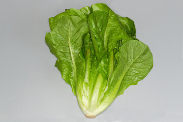 Head of green romaine lettuce on a gray surface