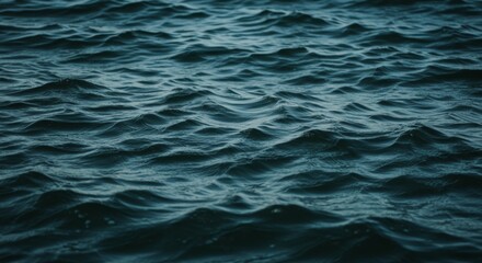 Fototapeta premium Dark Blue Water Surface Texture