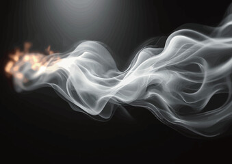 Fototapeta premium Smoke on a black background, white smoke on a dark background