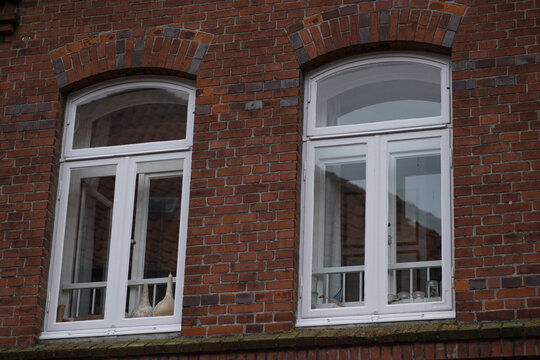 A close-up shot of two symmetrical arched windows on a red brick building. The windows have white frames and are divided into multiple panes, with a distinct semi-circular transom window at the top - Powered by Adobe