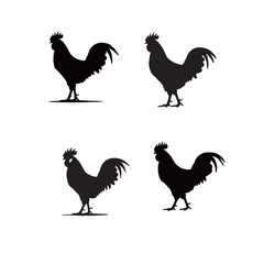 silhouette of a rooster with a transparent background