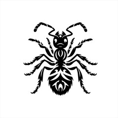 Obraz premium Stylized black ant tribal tattoo design