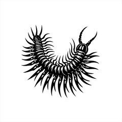 Obraz premium Black and white tribal style centipede illustration