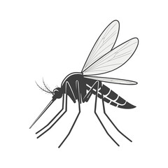 Silhouette of a mosquito on a white background