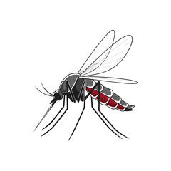Silhouette of a mosquito on a white background