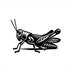 Black and white illustration of a grasshopper in profile