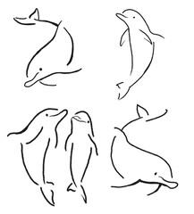 dolphin illustrations drawn for templates.