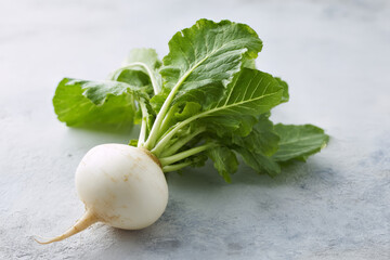 radish on a white background