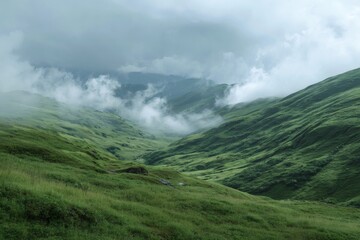 Misty mountain valley covered in lush green grass under a cloudy sky