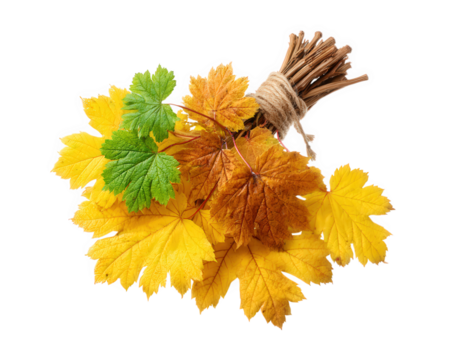 Bouquet of autumn leaves tied with twine, featuring yellow, brown, and green foliage, isolated on transparency background, evokes natural and rustic seasonal feeling - Powered by Adobe