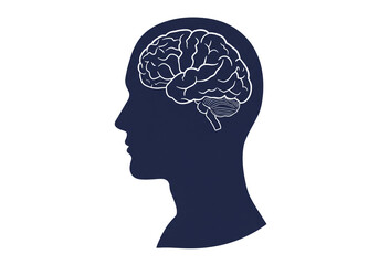 Silhouette of a head with a visible brain inside in white on a white background, side view profile