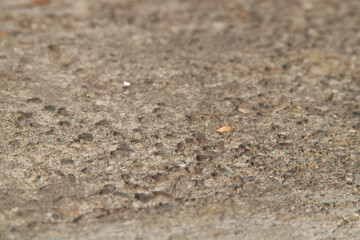 Concrete texture. Textured texture of concrete and plaster. Wall with rough texture. Old concrete