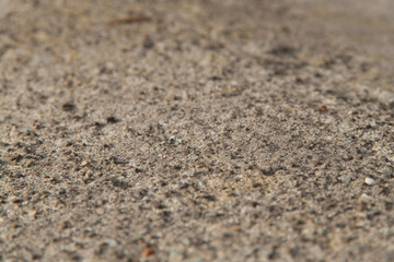 Concrete texture. Textured texture of concrete and plaster. Wall with rough texture. Old concrete