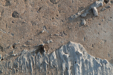 Concrete texture. Textured texture of concrete and plaster. Wall with rough texture. Old concrete