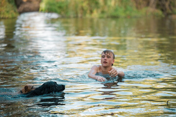 Two dogs swimming across river with teenager in background © Caseyjadew