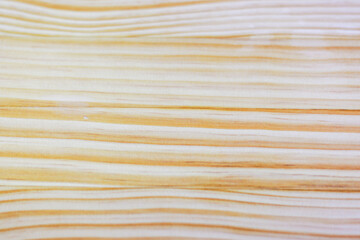 Close-up of Light Brown Wood Texture Surface