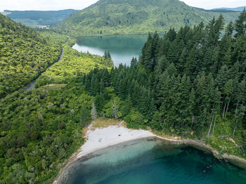Aerial view of the tranquil, sun-dappled waters meet the shore, embraced by lush green forests, mirrored in the calm lake, Rotorua, Bay of Plenty Region, New Zealand.