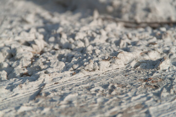 Texture of textured plaster. Coarse plaster. Texture gray textured