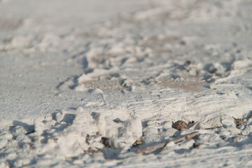 Texture of textured plaster. Coarse plaster. Texture gray textured