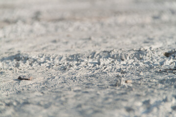 Concrete texture. Textured texture of concrete and plaster. Wall with rough texture. Old concrete