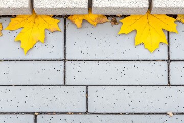 Yellow autumn leaves on pavement tiles