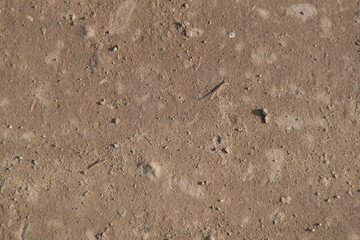 Concrete texture. Textured texture of concrete and plaster. Wall with rough texture. Old concrete
