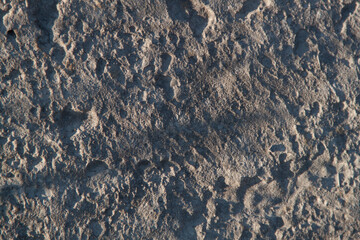 Concrete texture. Textured texture of concrete and plaster. Wall with rough texture. Old concrete