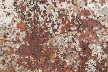 Texture of an old colored wall. Old peeling paint. Old wall. Photo of damaged paint
