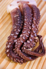 Vertical shot of raw octopus tentacle on cutting board