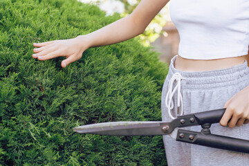 A person is trimming a neatly shaped bush in a sunlit backyard. They are wearing casual clothes and...