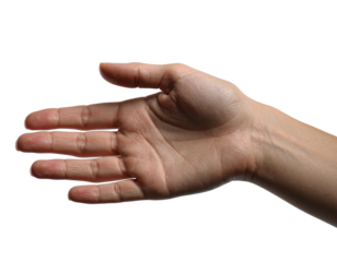 Stop hands isolated on white background, symbolizing refusal, caution, protection, and alertness. These hands convey a clear message to halt, prevent access, or signal a boundary effectively and visua