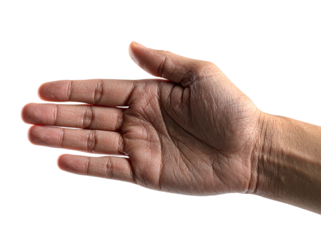 Stop hands isolated on white background, symbolizing refusal, caution, protection, and alertness. These hands convey a clear message to halt, prevent access, or signal a boundary effectively and visua