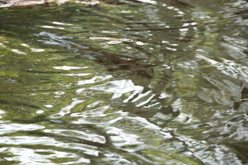 Patterns and color on water