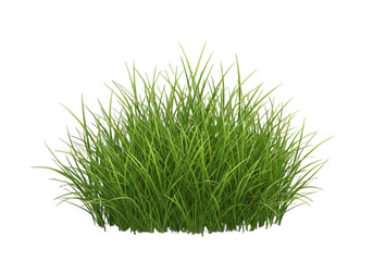 Vibrant Cluster of Green Grass Blades on White Background – Fresh Nature Texture