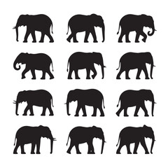 Collection of silhouetted elephants in various poses against a white background