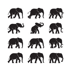 Obraz premium Collection of diverse silhouette poses of elephants in various movements and interactions