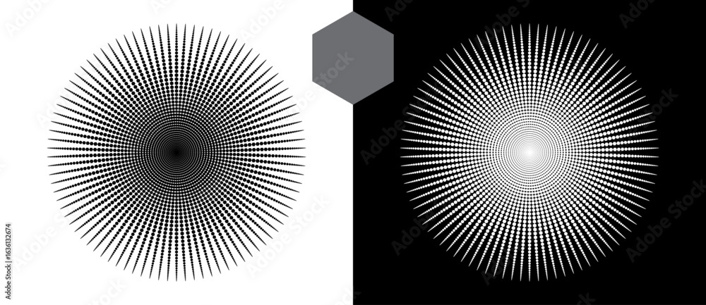 Canvas Prints art sun background. logo template or icon with lines from hexagones. black shape on a white backgrou