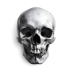 Obraz premium Detailed Human Skull: Anatomy Illustration- Ai generated