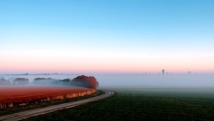 Road through fields with trees in the morning mist at sunrise in the countryside